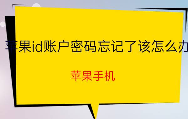 苹果id账户密码忘记了该怎么办 苹果手机，账号和密码都不记得了该怎么办？